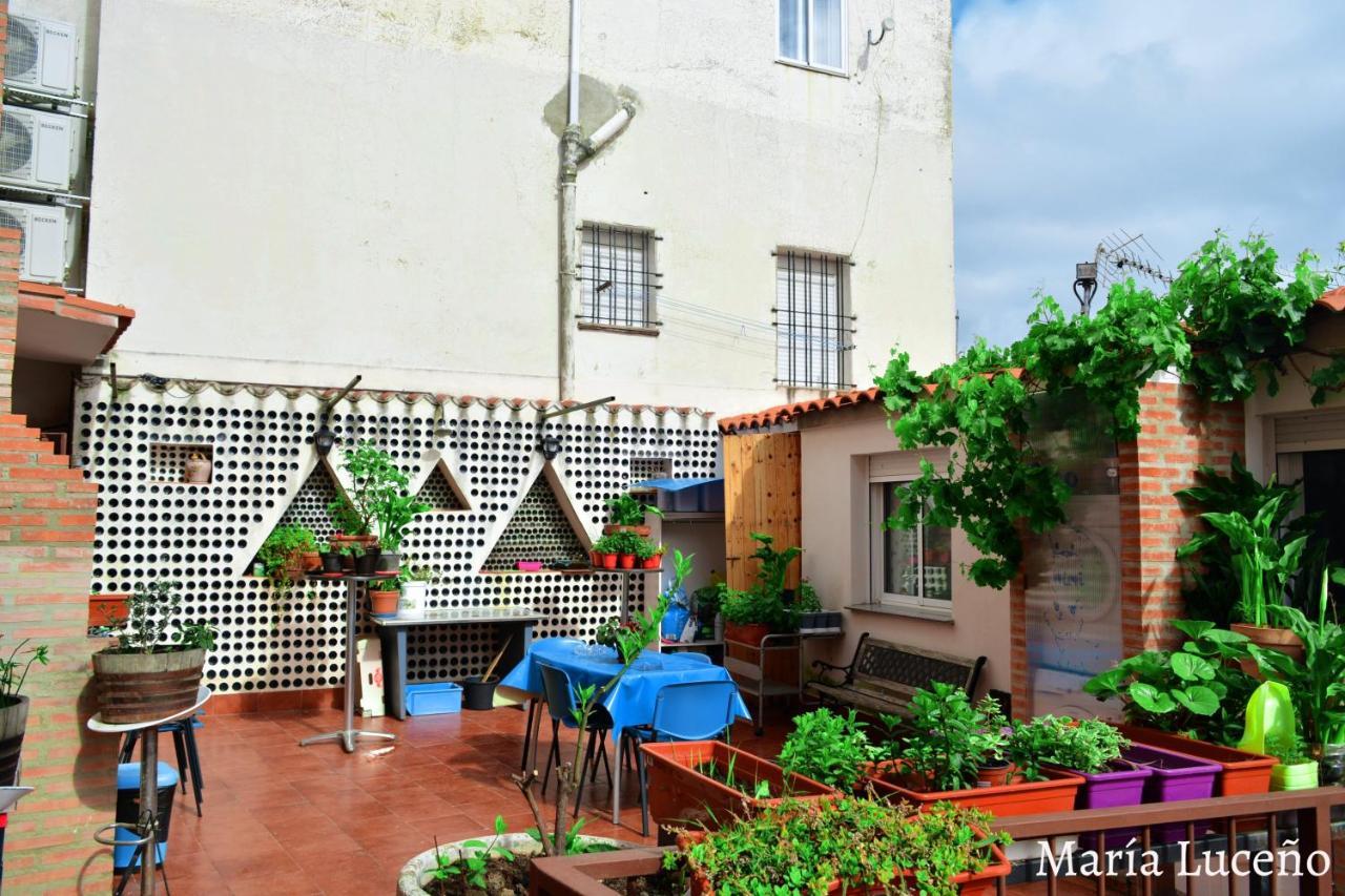 Comfortable Apartment In Caceres 55 M² Welcoming Terrace Exterior photo